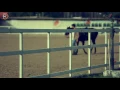 شخبارك/سيف نبيل