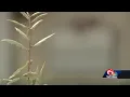 KEATING INDICTED