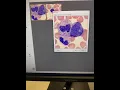 Lab and Music Parallels Practicing Paying Attention to Details and Overcoming Obstacles