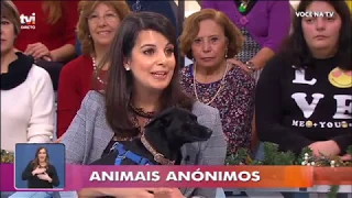 animais an nimos omnicutis caso de sucesso piru as