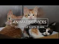 County of Santa Clara Begins Construction on Animal Services Center