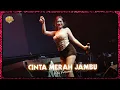 Lagu FIRA FERNANDA ~ PINK LOVE | AJOJING STBIER