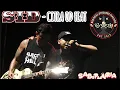 Download Lagu SID - Citra OD feat Brandal Outsider Malang at Sabiphoriafest Malang 2023