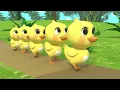 5 Little Ducks song | Newborn Baby Songs & Nursery Rhymes