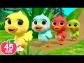 Download Lagu 5 Little Ducks song | Newborn Baby Songs \u0026 Nursery Rhymes