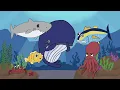 Lagu Slippery Fish, a funny song for kids by Amy Liz