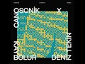 Kaybolur (Canosonik, Deniz Tekin (TR) Remix) - Soft Analog, Canosonik & Deniz Tekin (TR)