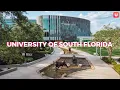University of South Florida Tampa Bay Neighborhood Spotlight