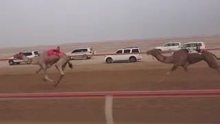 الشوط 4 معزز للسيد خلفان محسن حفيظ المزروعي توقيت 9 43 67 