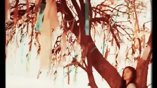 يا عيون عطشانة عطشانة سهر يا قلوب تعبانة تعبانة سهر 