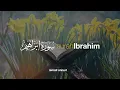 Download Lagu Surah Ibrahim سورة ابراهيم - Ismail Ali Nuri إسماعيل النوري | Tadabbur Daily