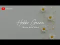 Download Lagu hobbo ganna (sherine abdel) lirik