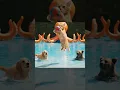 Download Lagu Mother Cat Takes Her Kittens to Enjoy a Day at the Water Park