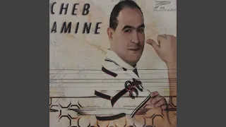 Fidèle Toujours Fidèle 