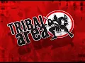 Big D And The Kids Table - Live "Noise Complain" // Tribal Area