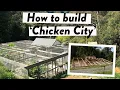 Lagu Ultimate Chicken Coop Build: Answering Your Questions on Design, Roofing \u0026 Predator Proofing!