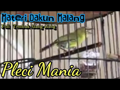 Download MP3 Materi Dakun Malang Tembakan Alang-Alang Mantappp!!!