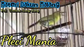 Download Materi Dakun Malang Tembakan Alang-Alang Mantappp!!! MP3