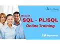 Oracle PL SQL Online Training - Oracle PL SQL Tutorial for Beginners