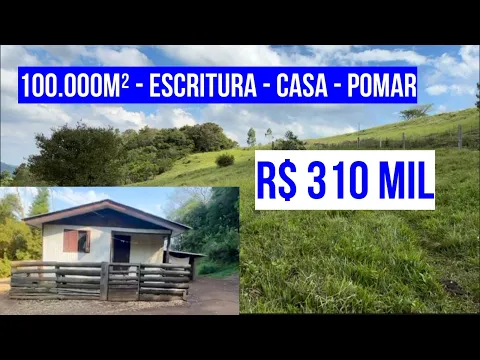 Download MP3 [122886]CHÁCARA EM SANTO ANTÔNIO DA PATRULHA  ESCRITURADA  CASA  POMAR MUITO PASTO 10HA R$ 310 MIL