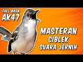 Download Lagu MASTERAN CIBLEK KRISTAL NGEBREN AK47 SUARA JERNIH | JEDA 1 -2 MENIT | MASTERAN BURUNG