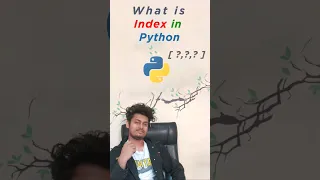 What is Index Python indexing Memory Management of sequence data types Techee Banda