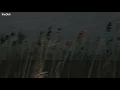 Laura Marling - What He Wrote (Lyrics)