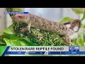 Rare reptile returned to Lexington pet store