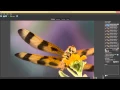 Helicon Focus - Photoshop Lightroom integration