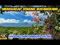 Download Lagu Dijual Tanah Kebun Cengkeh 1484 m2 SHM Pemandangan Bagus Udara Cukup Dingin Pinggir Jalan Hotmik