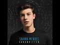 Shawn Mendes - Stitches
