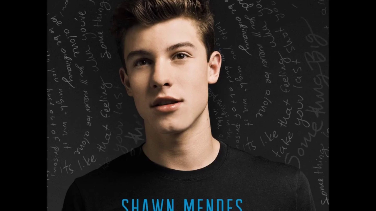 Shawn Mendes - Stitches