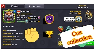 CUE COLLECTION 8 BALL POOL