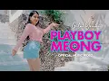Download Lagu Gita Youbi - Playboy Meong
