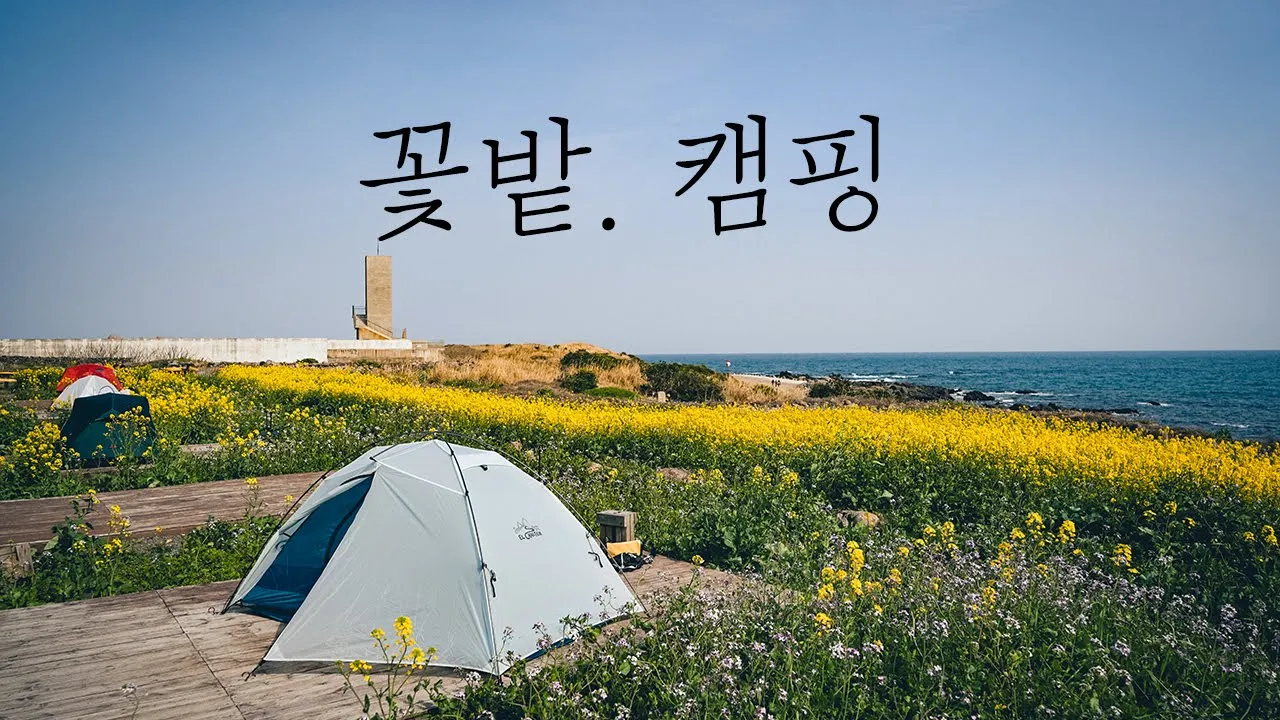제주에서 배타고 가야하는캠핑장 | 이곳에 가시면 텐트가 꽃밭에 파묻힙니다 🌼⛺️   | 가파도 캠핑 썸네일