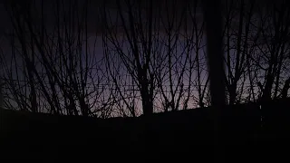 30 Minutes Of Real Tiktok