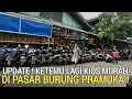 Download Lagu YANG INI BEDA ! REKOMENDASI KIOS BURUNG MURAH SATU LAGI DI PASAR BURUNG PRAMUKA HARI INI 