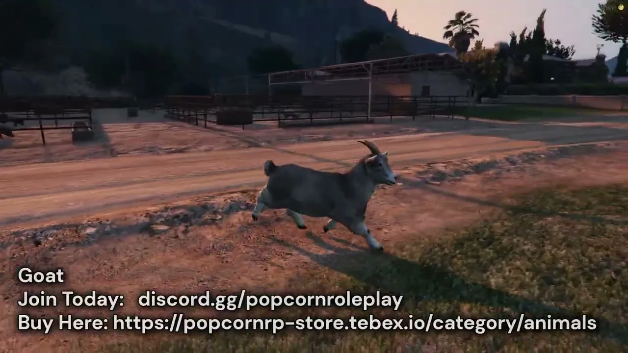 Goat