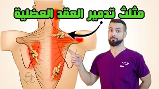 ألم اﻷكتاف والرقبة    اكتشف العقد العضلية المؤلمة وعالجها فورا  دندنها
