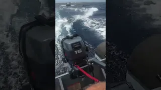 Episode 56   Bonaire short 2