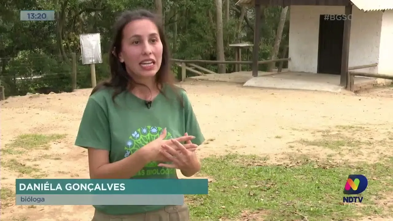 Parque de Maracajá, no Sul de SC, é considero santuário ecológico e uma das atrações da cidade