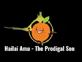 Lagu Hailai Amu ~ The Prodigal Son (DJ Shen Nian Version) 浪子心-海來阿木