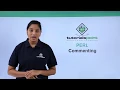 Perl - Commenting