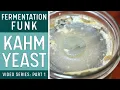 Download Lagu KAHM YEAST on FERMENTED VEGETABLES (How to identify \u0026 what to do about it)