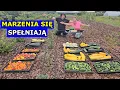 Download Lagu Marzyłem o Tej Chwili. Dziękuję za to. Wielka Radość, Zbiory Ogórków, Pomidorów Dom z Wielkim Polem.