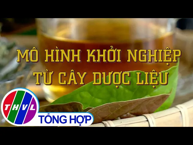 Outline Video Khởi nghiệp xanh: Mô hình khởi nghiệp từ cây dược liệu