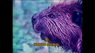 REDE GLOBO APRESENTA MUNDO ANIMAL 1970 DUBLADO