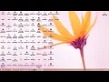 What s the difference between putting script in head and body