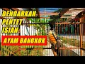 Download Lagu Cendet Isian Ayam Berkokok, pancingan burung cendet agar cepat bunyi ~ Konco Ocehan Manuk