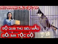 Lagu Ma Tốc Độ Đinh Khủng// Họng Ếch Ương Chuông Xoẵn// Đấu Găm Xục Cực Xung // Tố Chất Gột Giàn 